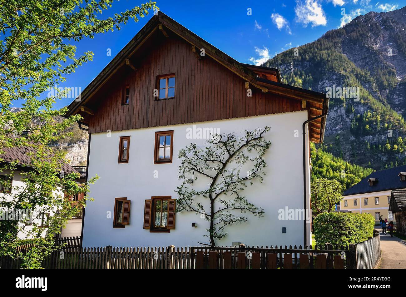 Hallstatt, Austria - 3 maggio 2013: Casa straordinaria a Hallstatt, Austria. Tre si stendono sulla facciata di un accogliente cottage alpino nelle Alpi austriache. Foto Stock