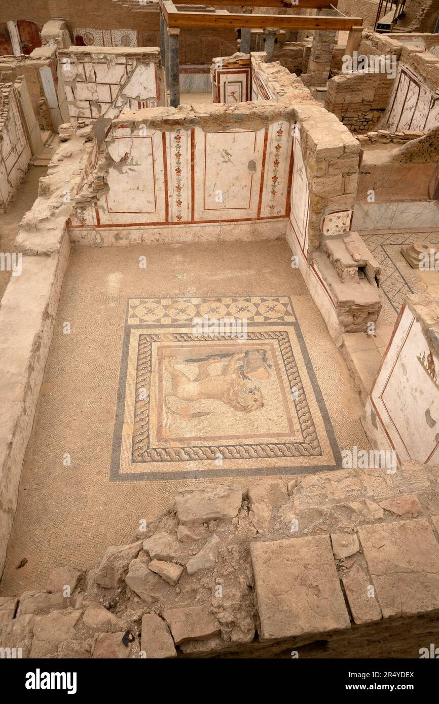 Pavimenti a mosaico e tracce di delicati dipinti murali rimangono nelle Case Terrazza, Efeso, Turchia. Foto Stock