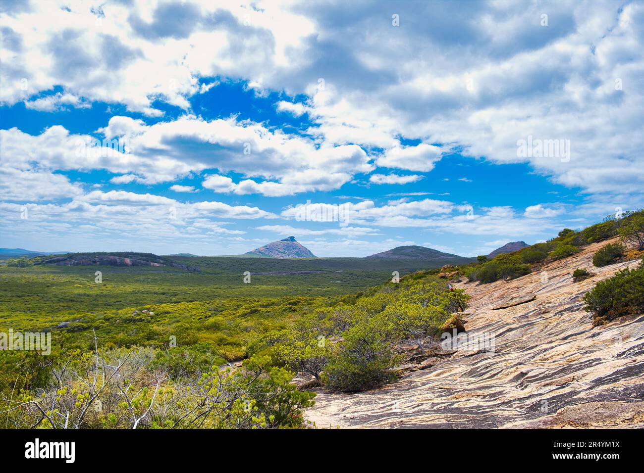 Paesaggio con vegetazione bassa e granito coperto di licheni lungo il percorso costiero nel Cape le Grand National Park, Australia Occidentale. Foto Stock