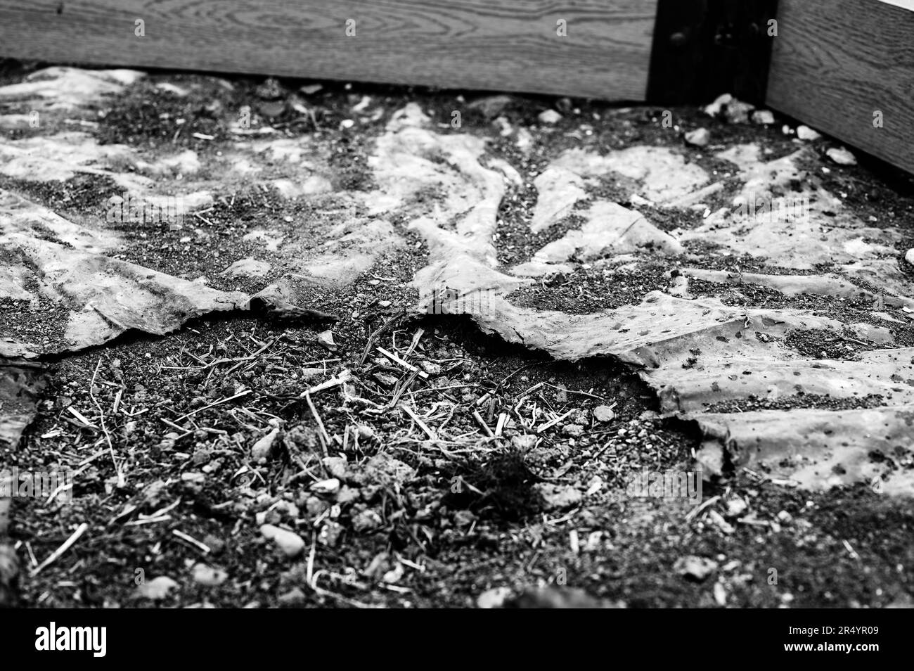 Buco nel paesaggio erbacce barriera plastica a terra. Foto Stock