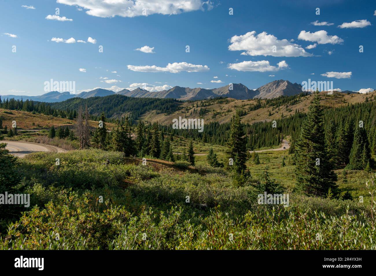 La Collegiate Range del Colorado vista dal lato ovest del Passo di Cottonwood Foto Stock