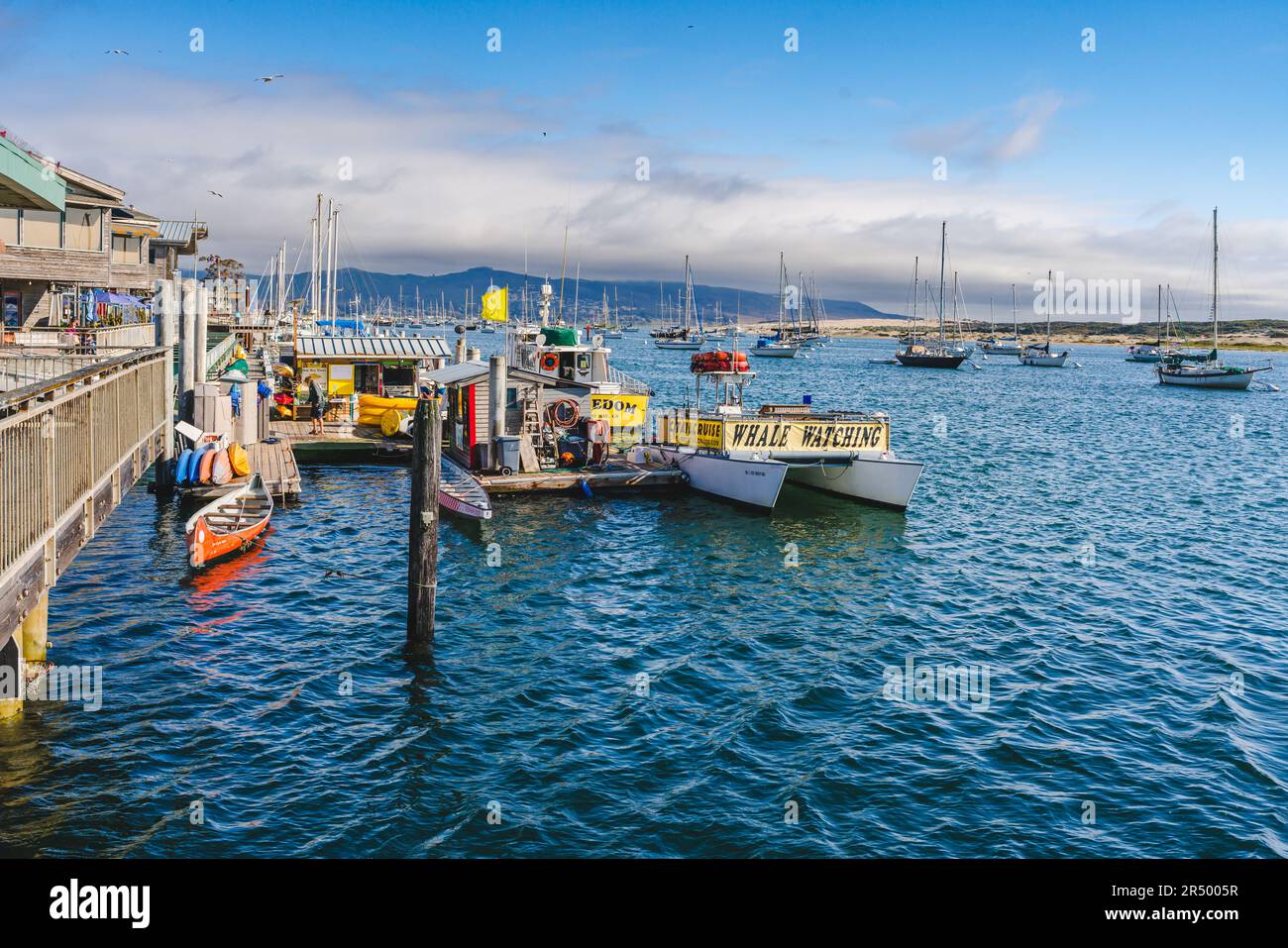 Morro Bay, California, USA - 27 maggio 2023. Noleggio barche, wale wathing, noleggio kayak, noleggio canoe a Morro Bay. Sub Sea Tours - offerta crociera della baia Foto Stock