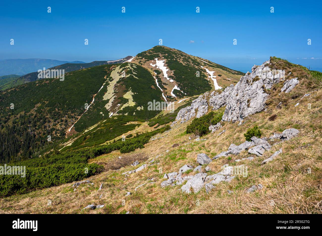 Monte Velky Krivan. Colorato paesaggio di montagna primavera del Mala Fatra, Slovacchia. Foto Stock