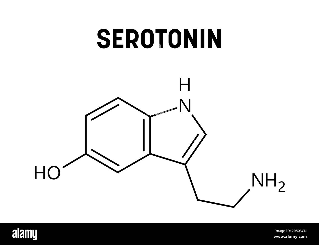 Struttura molecolare della serotonina. La serotonina è un neurotrasmettitore monoamminico che modula umore, cognizione, ricompensa, apprendimento, memoria e altre funzioni. Formula strutturale vettoriale del composto chimico. Illustrazione Vettoriale