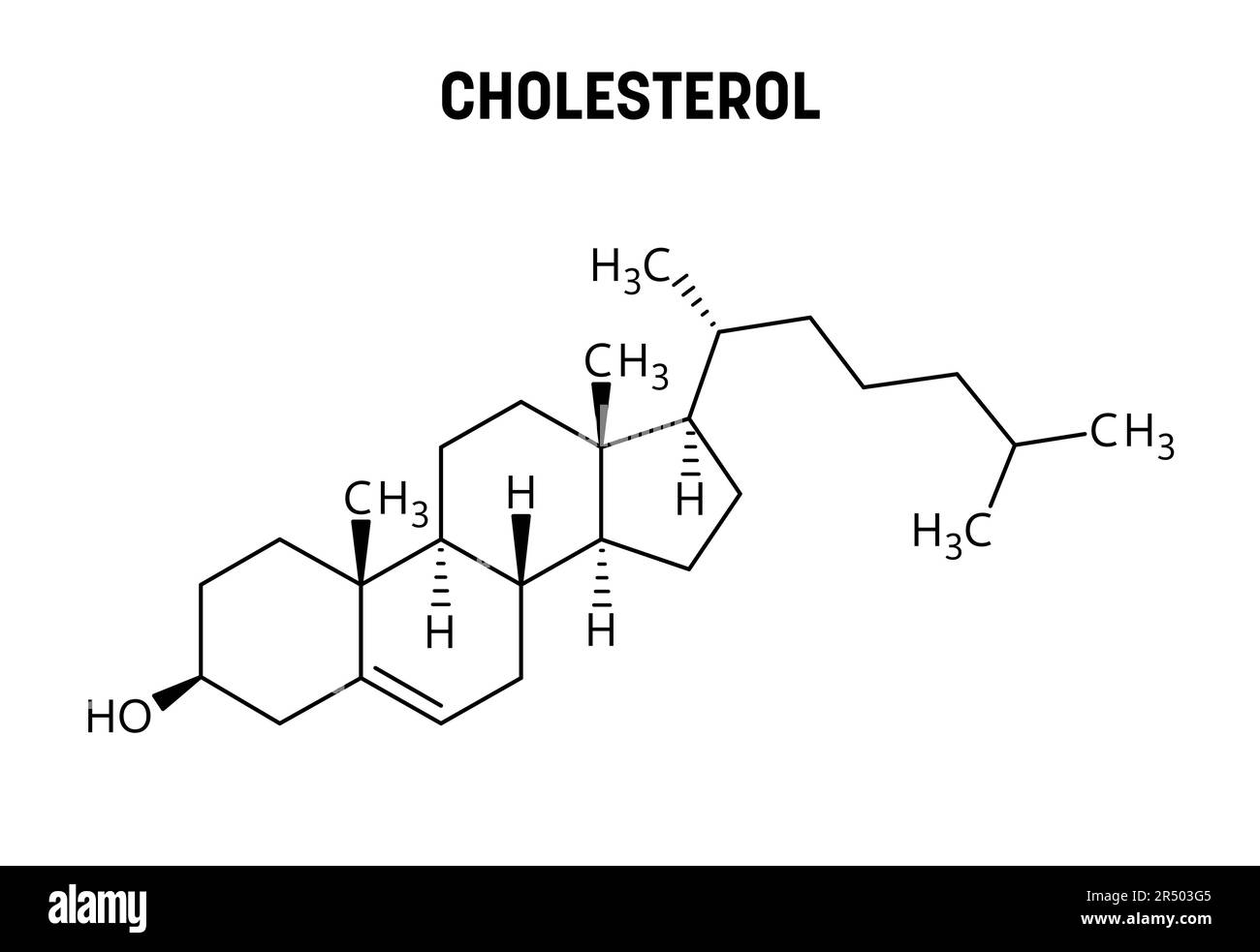 Struttura molecolare del colesterolo. Il colesterolo è un componente strutturale lipidico ed essenziale delle membrane cellulari animali. Formula strutturale vettoriale del composto chimico. Illustrazione Vettoriale