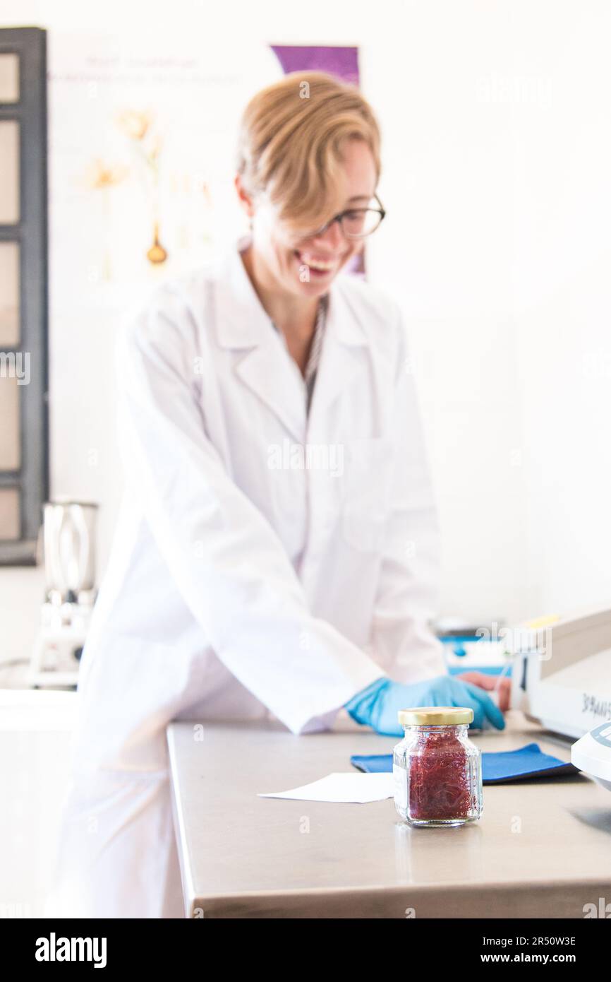 Test di qualità dello zafferano nel laboratorio di Maison du Safran, situato nella Taliouine meridionale, Marocco Foto Stock