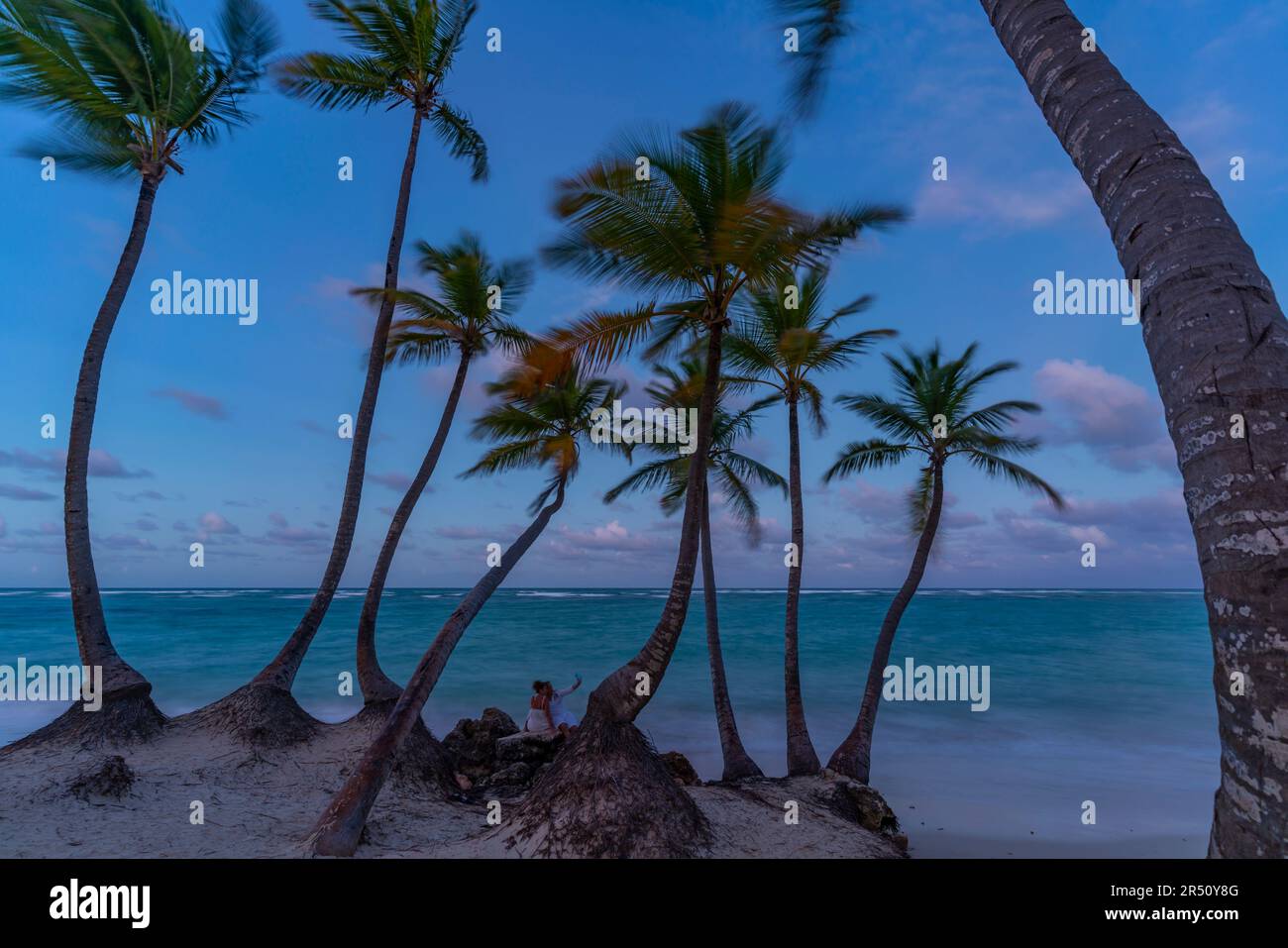 Vista delle palme sulla spiaggia di Bavaro al crepuscolo, Punta Cana, Repubblica Dominicana, Indie occidentali, Caraibi, America centrale Foto Stock