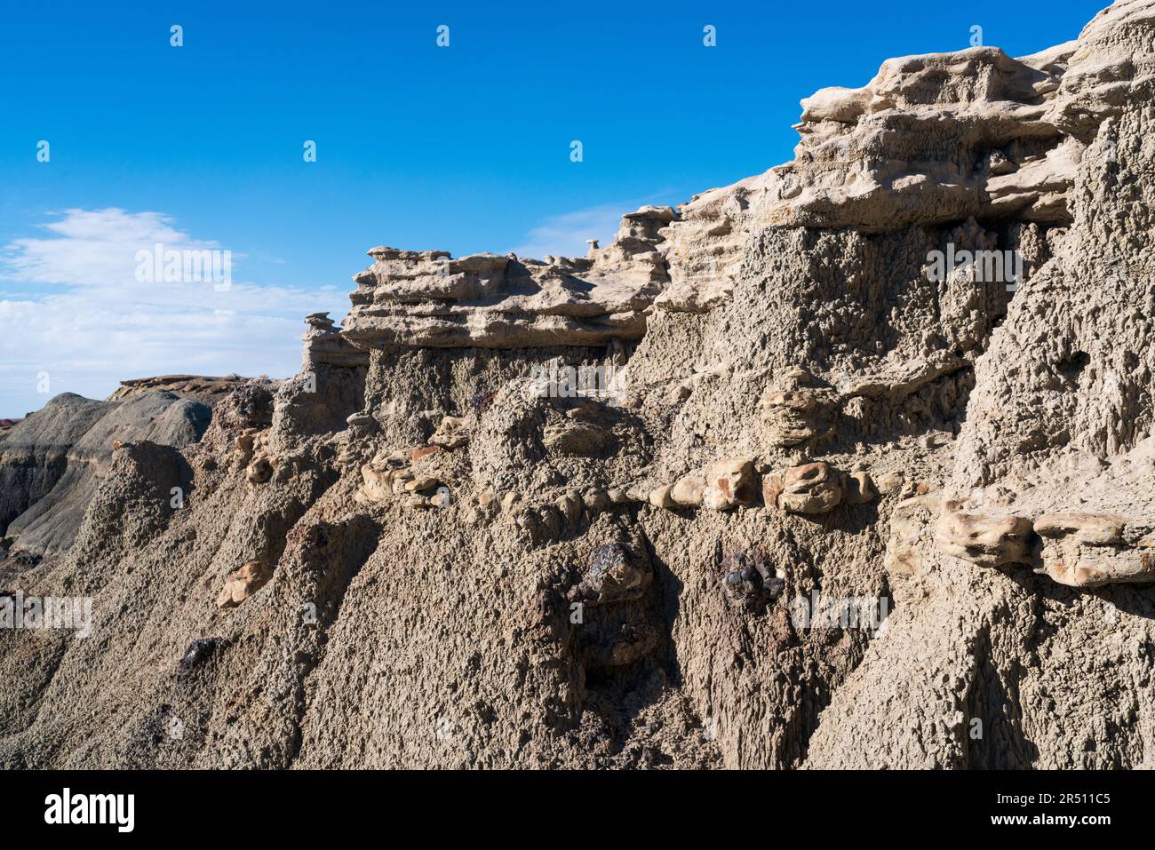 Bisti / De-Na-Zin Wilderness Area nella Contea di San Juan, New Mexico Foto Stock