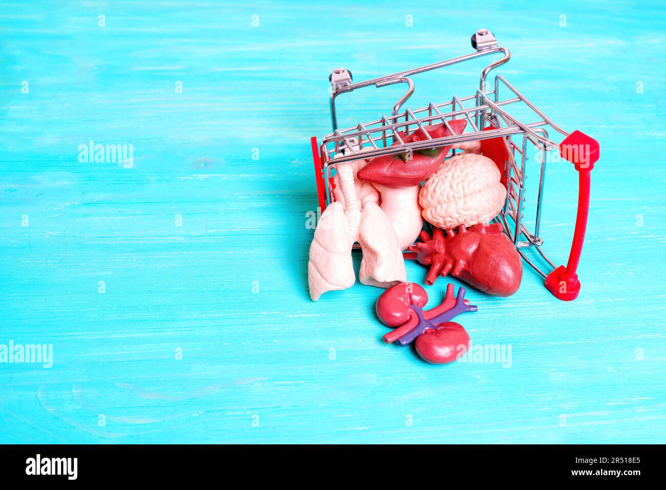 Carrello in miniatura pieno di piccoli modelli anatomici di organi umani, capovolto su un lato. Donazione e trapianto di organi creativi c Foto Stock