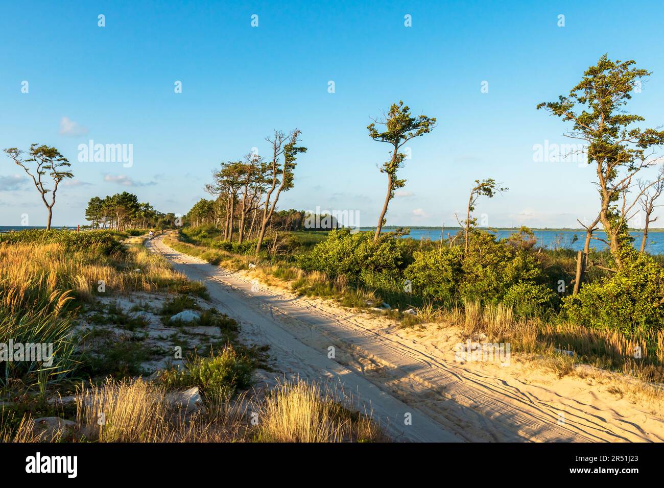 Pista ciclabile internazionale r-10. Sputate sul Lago Kopań. Bellissimo tramonto sul Mar Baltico polacco. Dune e vegetazione costiera. Darlowo, Mar Baltico, Pol Foto Stock