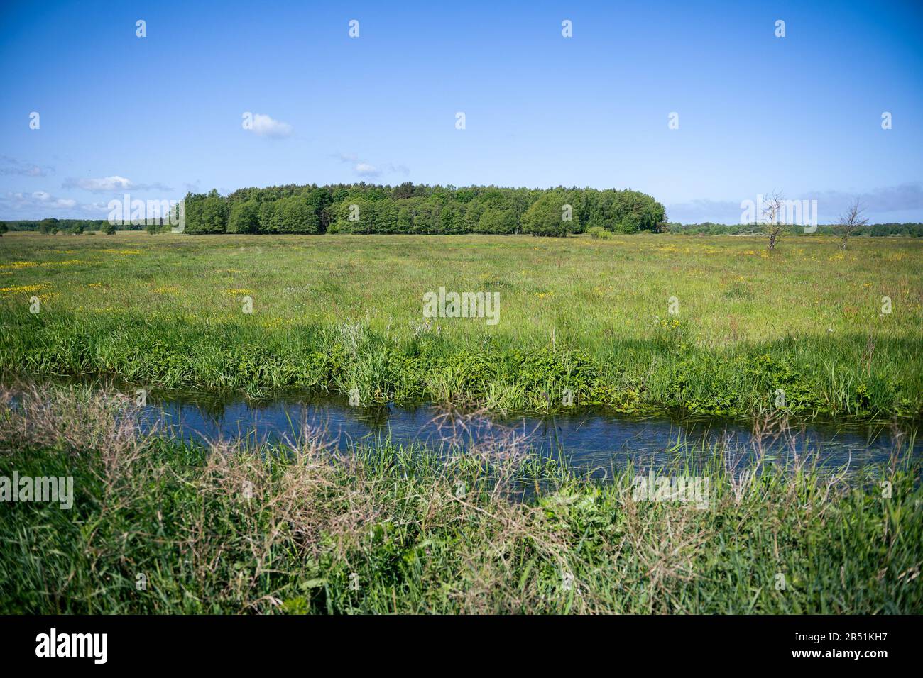 Lubiatowo, Polonia. 29th maggio, 2023. Vista generale del luogo in cui è prevista la costruzione di una centrale nucleare vicino al villaggio di Slajszewo. Westinghouse Electric Company e Westinghouse Electric Poland saranno responsabili dello sviluppo di un modello per la costruzione della prima centrale nucleare in Polonia. Credit: SOPA Images Limited/Alamy Live News Foto Stock