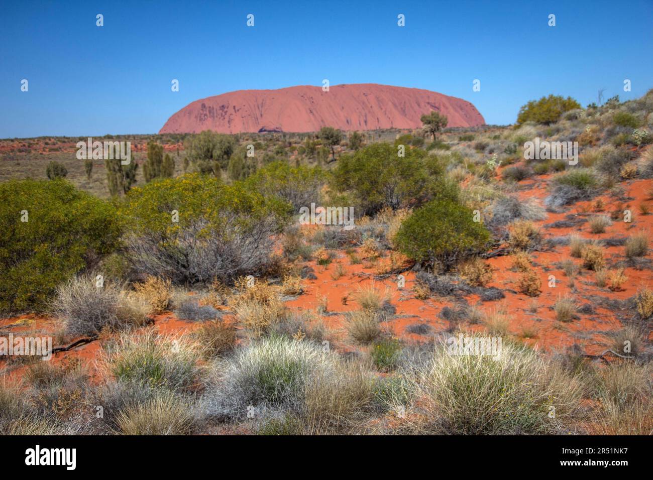 Ayers Rock, Uluru, Australia, Centro Rosso Foto Stock