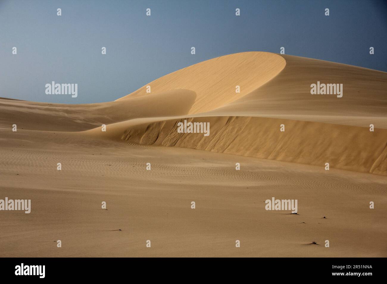 Parco Nazionale di Lençóis Maranhenses, brasile Foto Stock