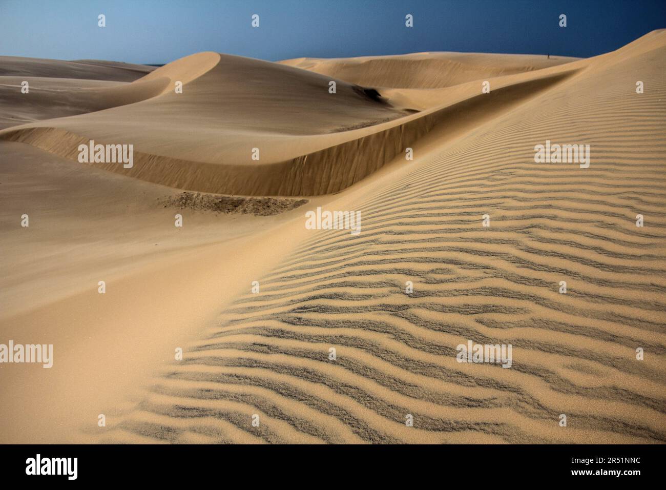 Parco Nazionale di Lençóis Maranhenses, brasile Foto Stock