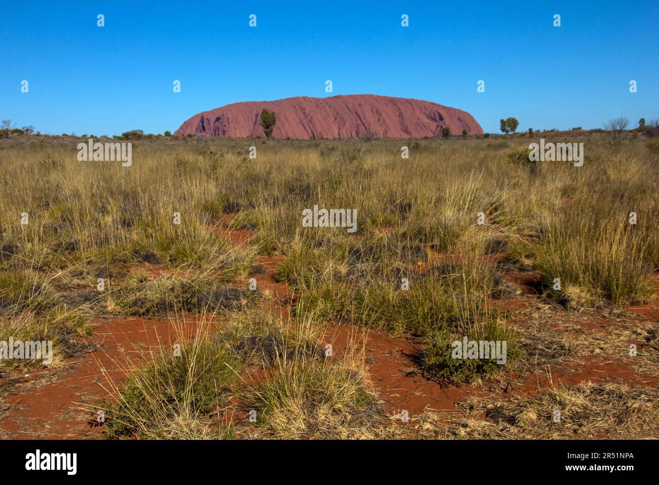 Ayers Rock, Uluru, Australia, Centro Rosso Foto Stock