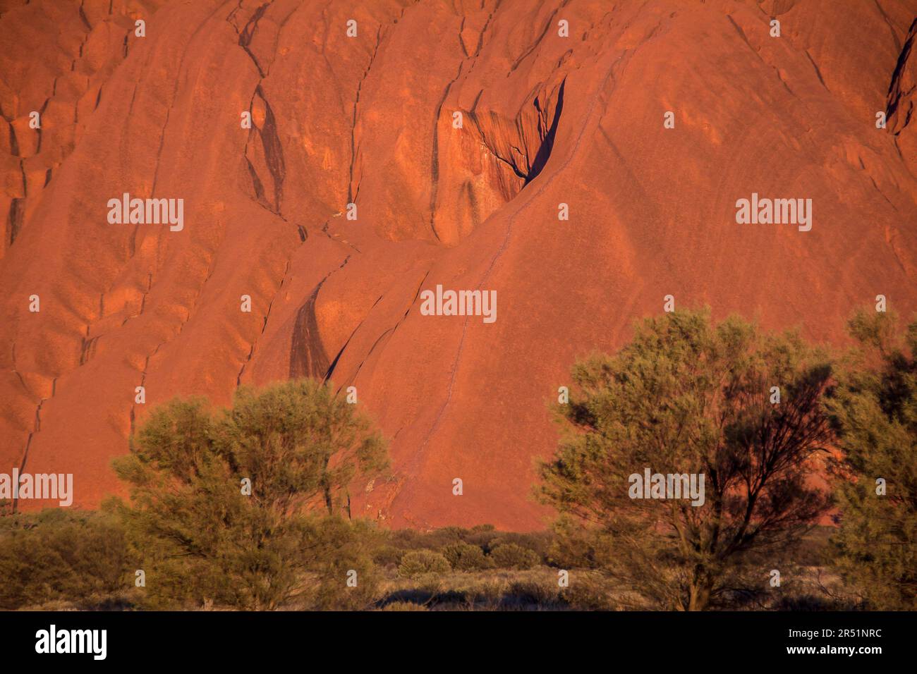 Ayers Rock, Uluru, Australia, Centro Rosso Foto Stock