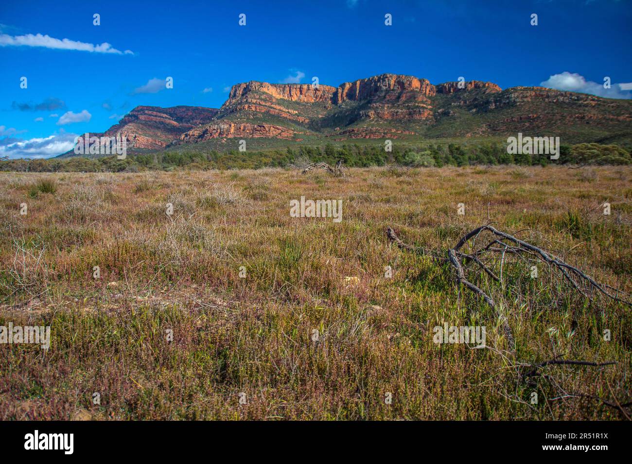 Paesaggi della gamma Flinders in Australia Foto Stock