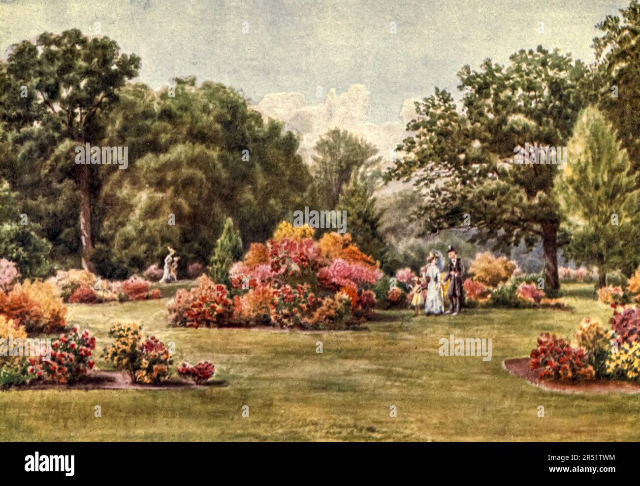 Le azalee dipinte da T. Mower Martin (Thomas Mower Martin) dal libro ' Kew Gardens ' di Ascott Robert Hope Moncrieff pubblicato a Londra da Adam e Charles Black nel 1908 Foto Stock