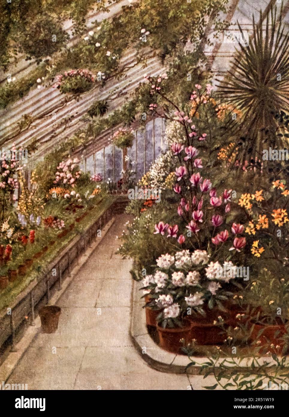 La serra dipinta da T. Mower Martin (Thomas Mower Martin) dal libro ' Kew Gardens ' di Ascott Robert Hope Moncrieff pubblicato a Londra da Adam e Charles Black nel 1908 Foto Stock