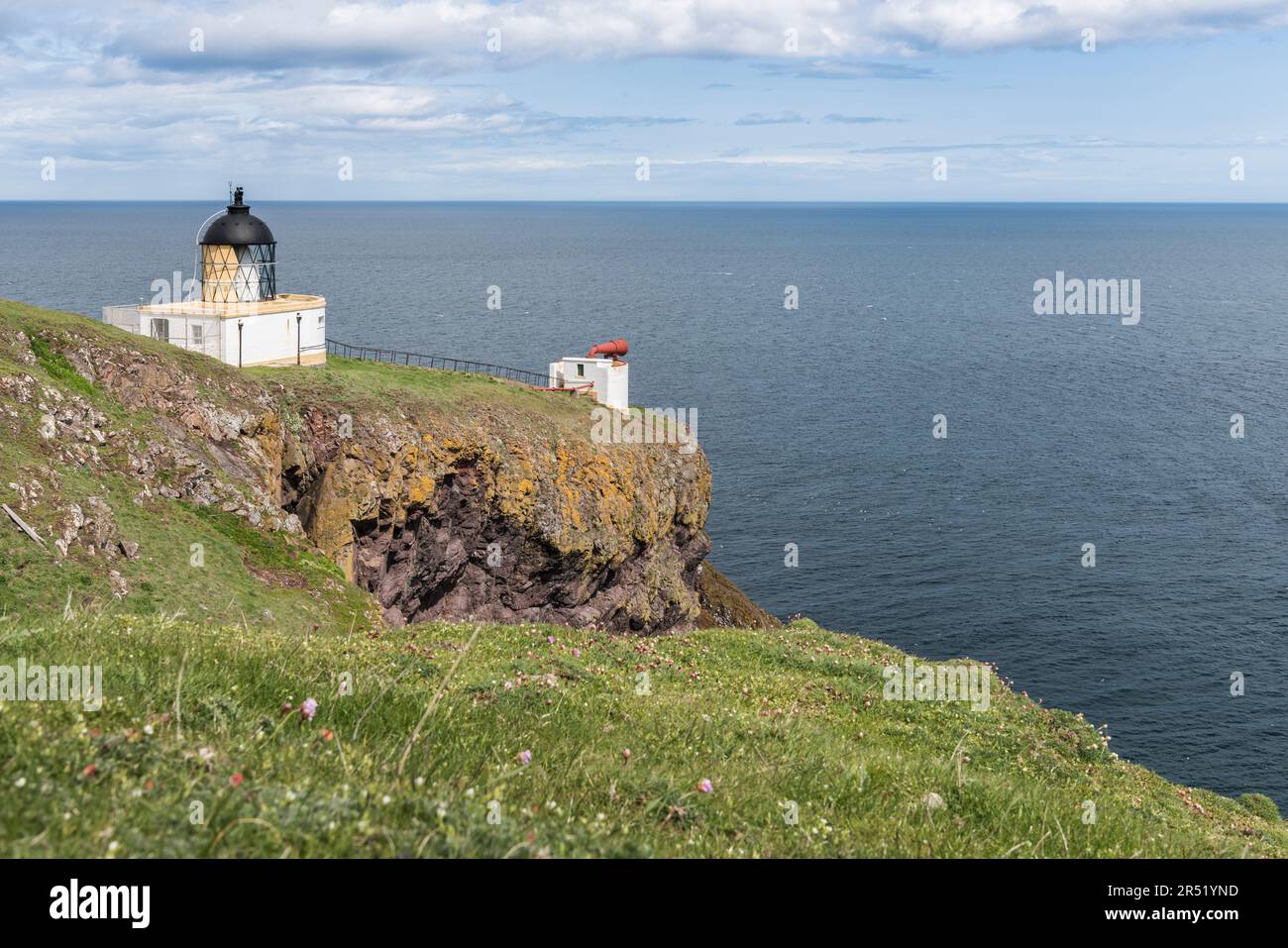 Faro di St Abbs Head e foghorn all'inizio della primavera con fiori selvatici a fuoco morbido in primo piano e mare piatto sullo sfondo. Foto Stock