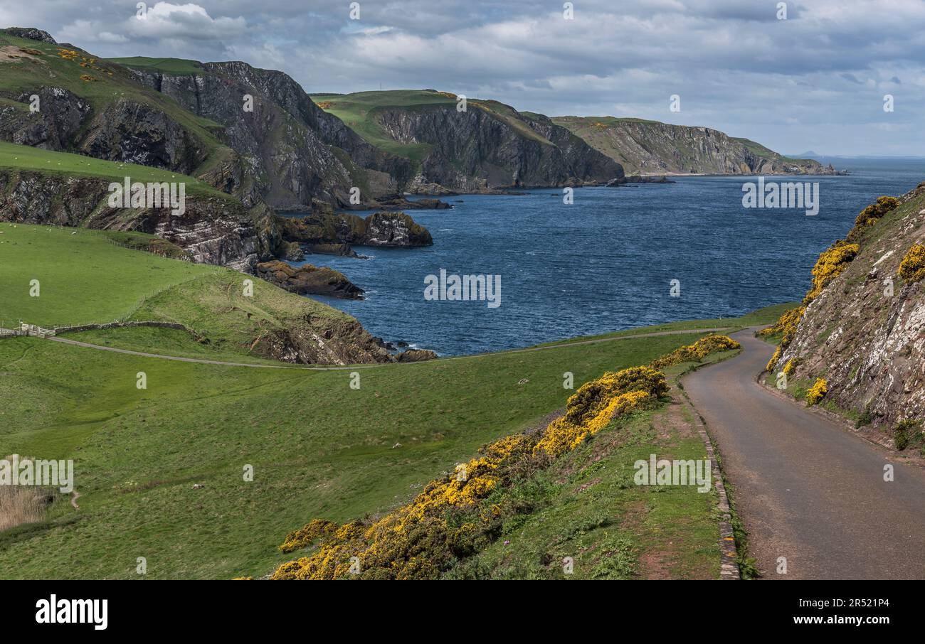 Strada di accesso illuminata dal sole a St Abbs Head, Scozia, con mare blu e scogliere costiere all'ombra sotto il cielo nuvoloso e luminoso sullo sfondo. Foto Stock