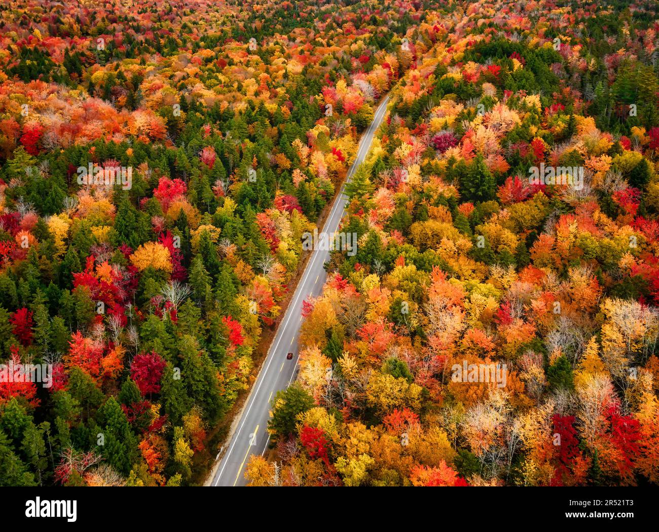 White Mountains NH Fall Foliage - veduta aerea dei colori di picco autum a Kancamagus Highway nella White Mountain National Forest nel New Hampshire. Foto Stock