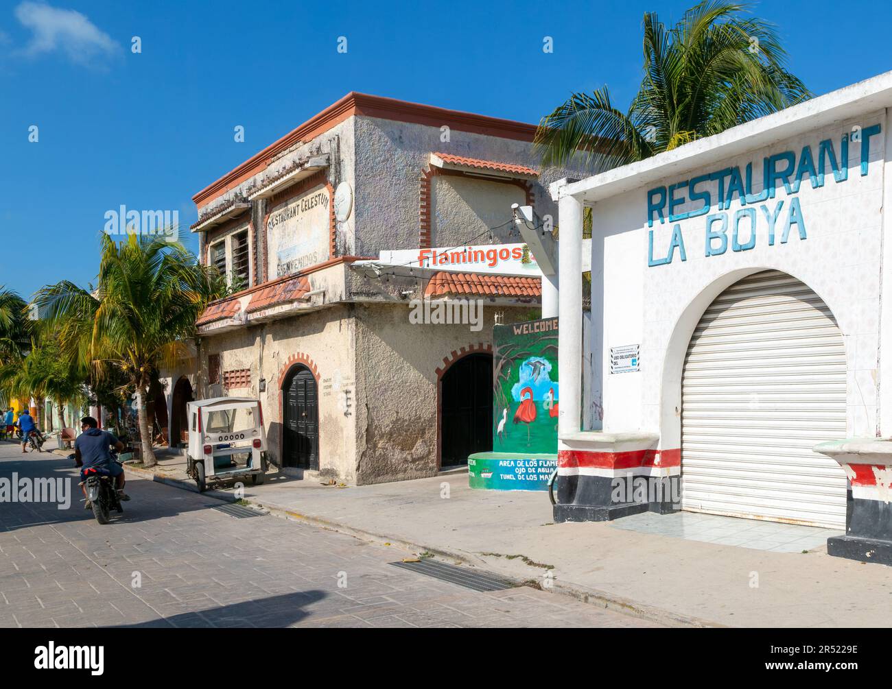 Scena Steet in piccolo insediamento costiero sul Golfo del Messico, Celestun, Yucatan, Messico Foto Stock