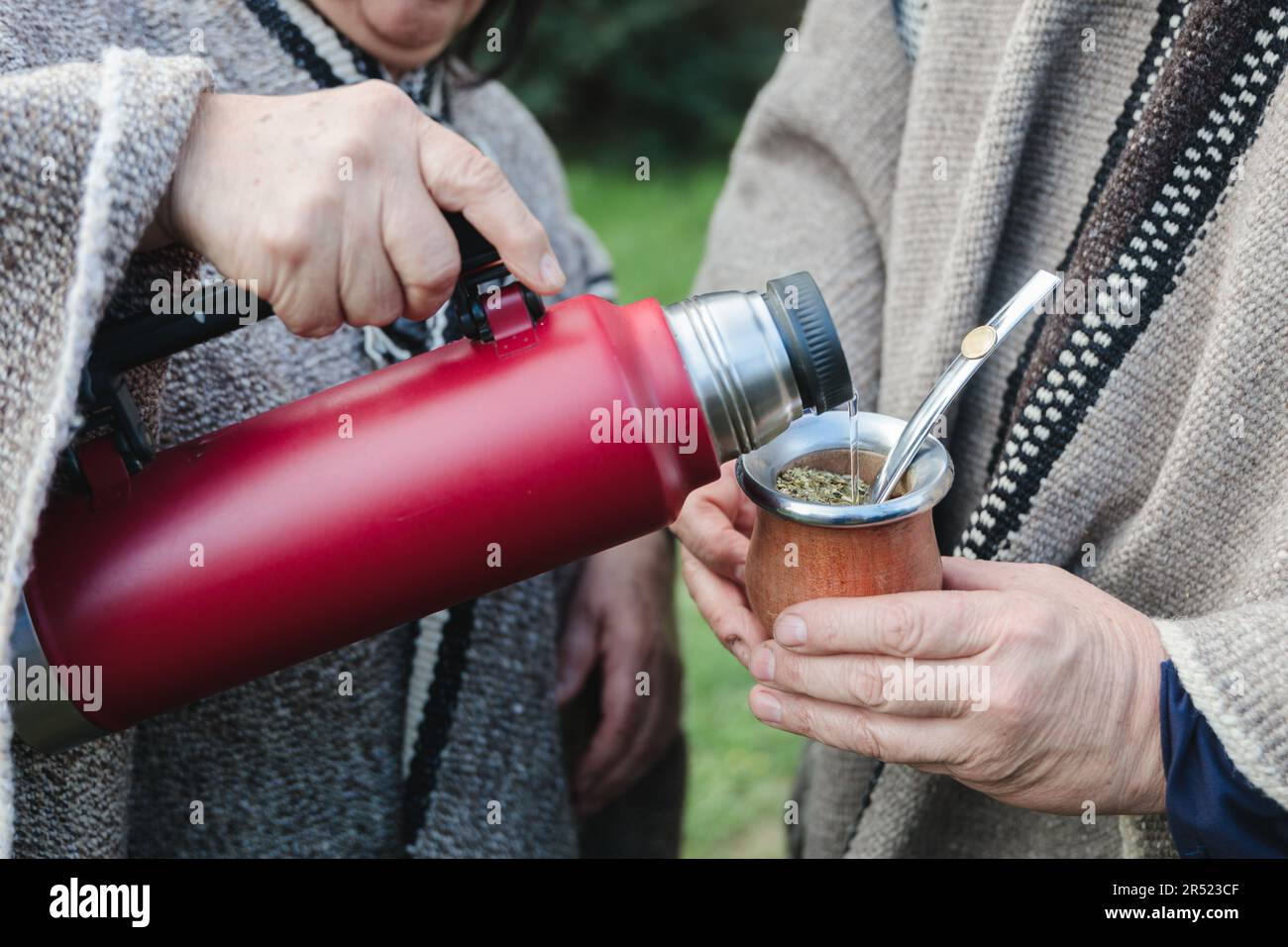 Persone tagliate in abiti caldi in piedi vicino a cespugli verdi e versare la bevanda calda dai thermos in tazza, mentre si passa il tempo insieme Foto Stock