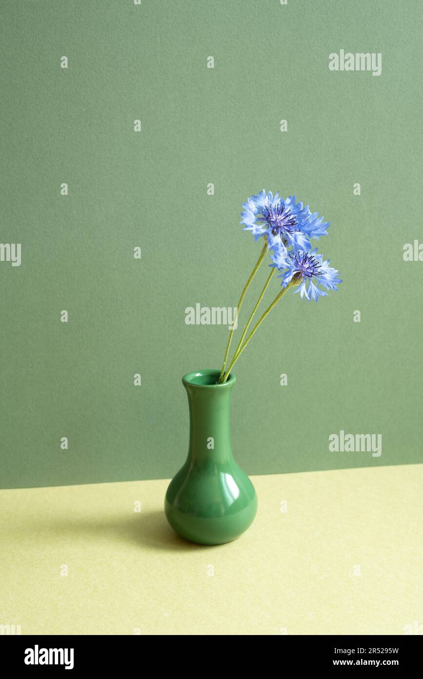 Vaso di fiore viola su tavola. sfondo parete verde. oggetto minimo Foto Stock