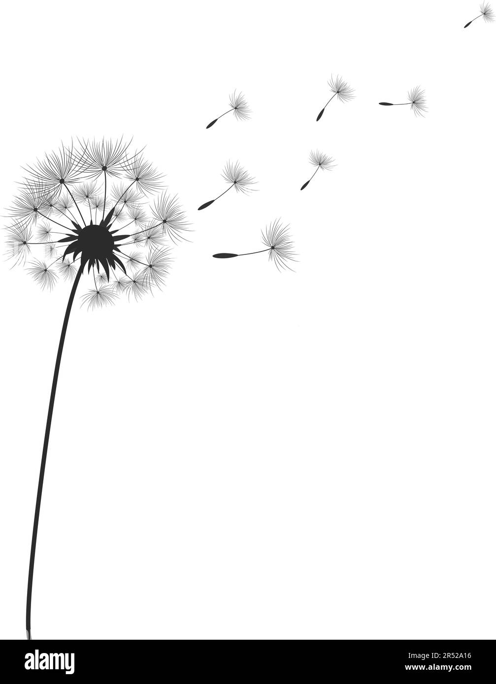 Dente di leone fiori con semi che volano via nel vento. Illustrazione Vettoriale