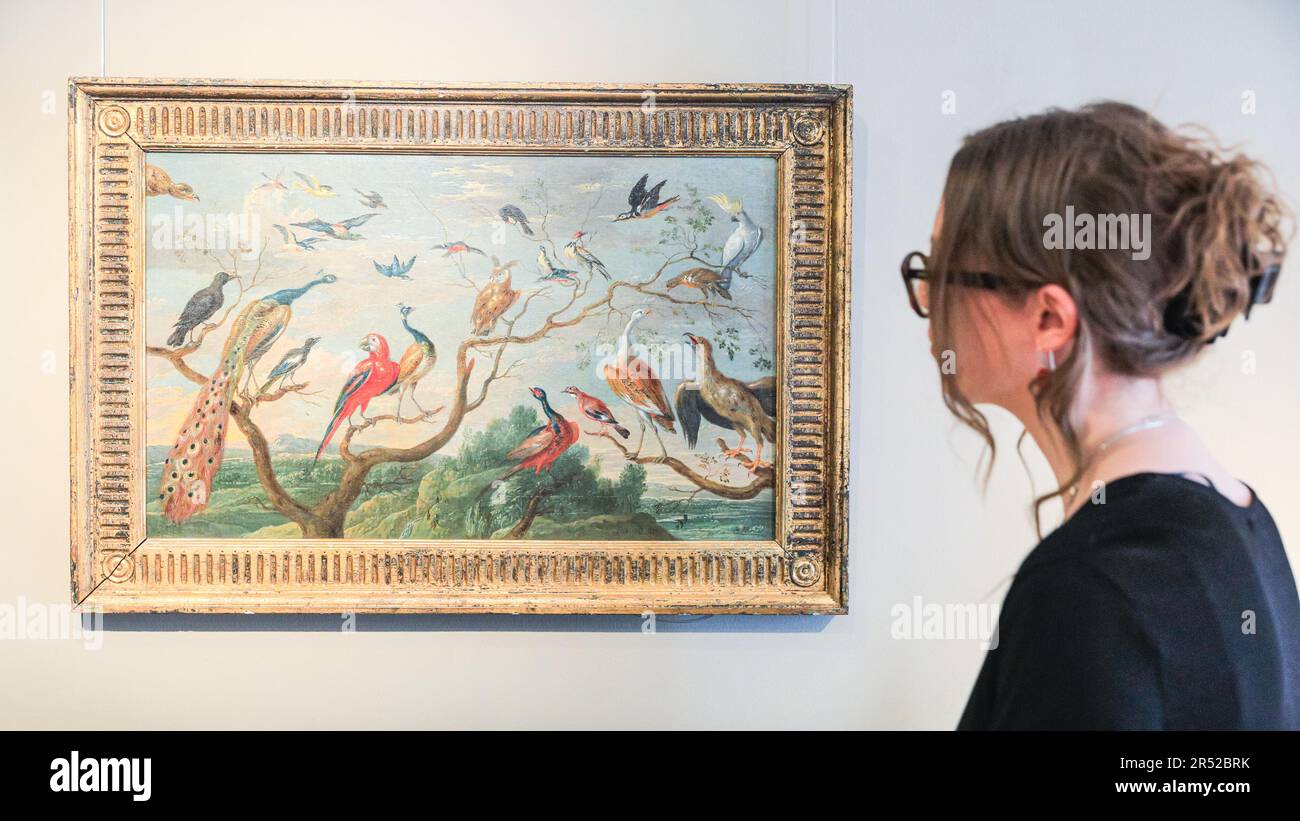 Londra, Regno Unito. 31st maggio, 2023. Personale della Galleria con Jan Van der Kessel il Vecchio, uccelli esotici in volo e arroccato su rami in un paesaggio montano, 1677. Dal 2nd giugno al 29th luglio, la mostra estiva della fine Art Society "History of the New" aprirà sia a Londra che a Edimburgo, con numerose opere rare e importanti. Credit: Imageplotter/Alamy Live News Foto Stock