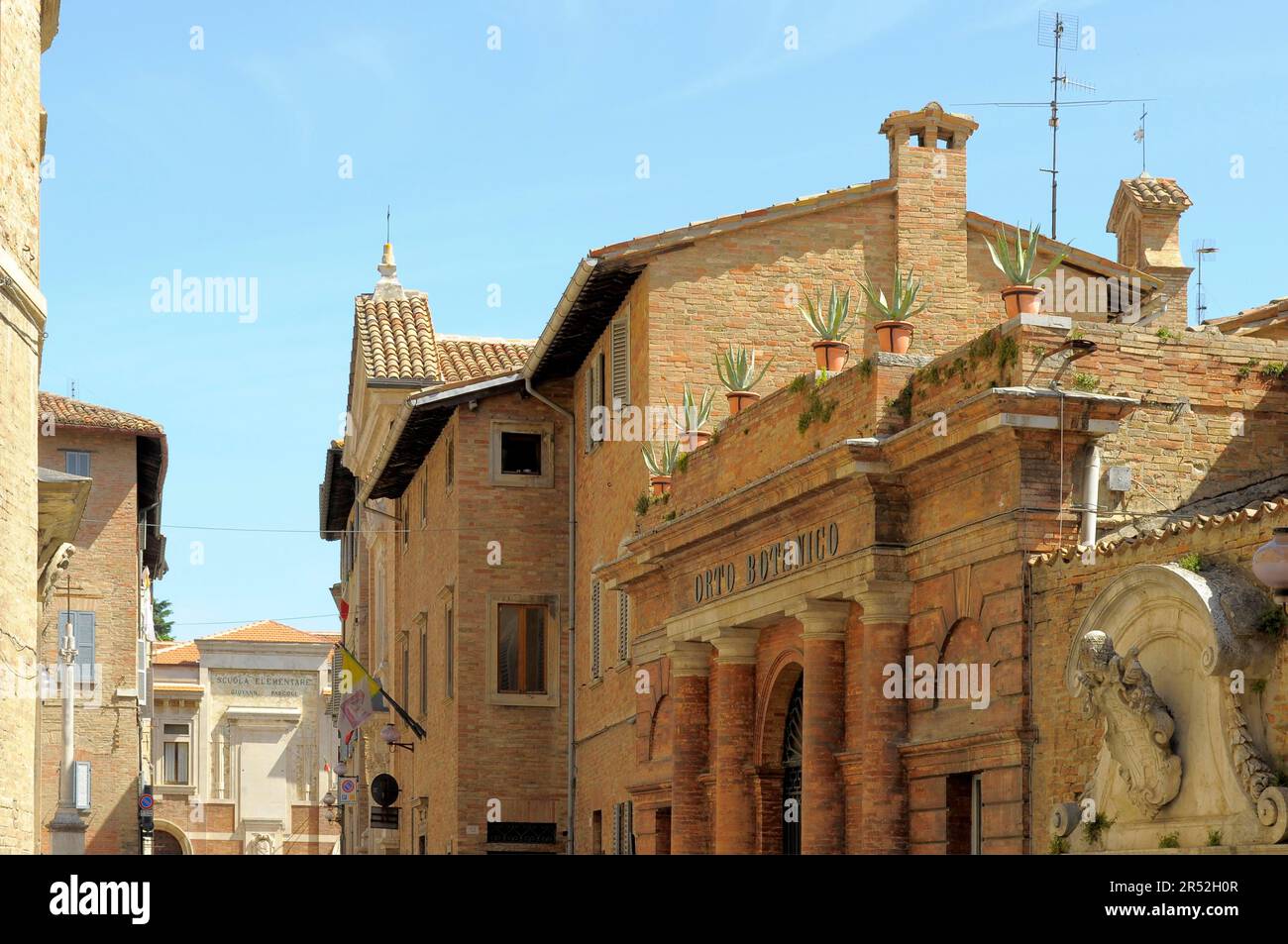 Italia, Italia, Marche, Urbino, centro storico, Centro storico, Orto Botanico, Pierina Scaramella Foto Stock