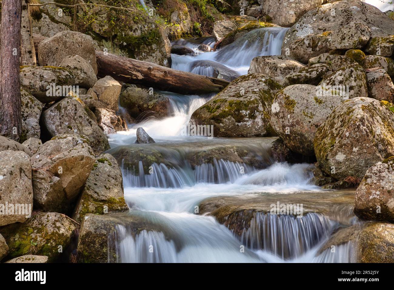 Piccolo torrente nella valle di Restonica, Corte, Corsica, Francia Foto Stock