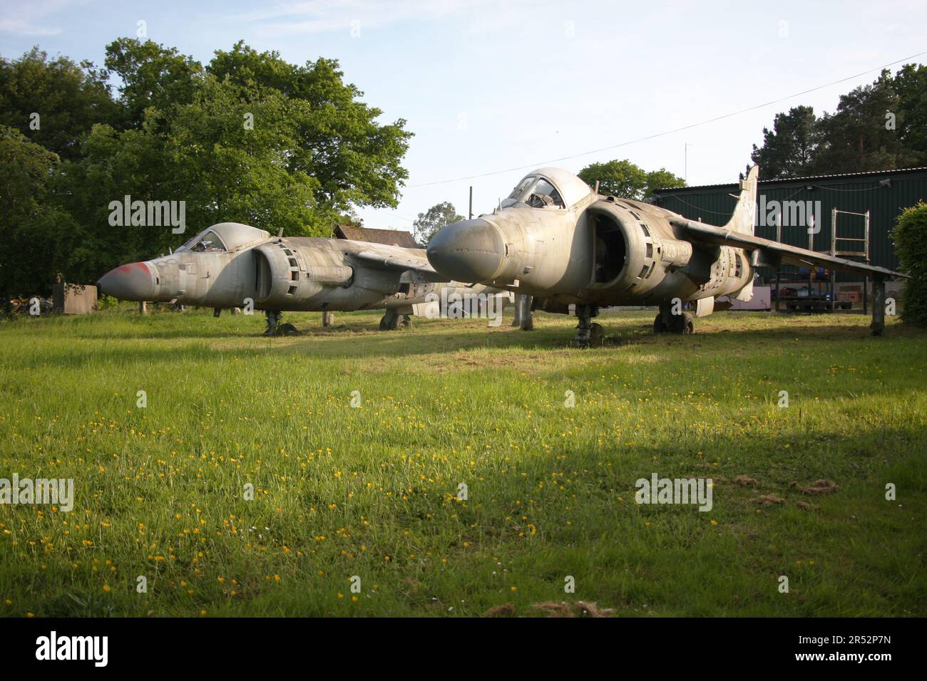 L'ex Royal Navy Hawker Siddeley Sea Harriers conservato in un cortile a Charlwood Surrey Inghilterra Foto Stock