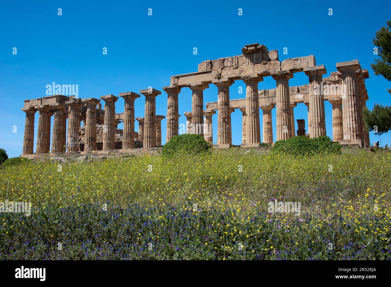 Tempio di Hera, Selinunte, Greco, Tempio di, Tempio e, Selinunte, Sicilia, Italia Foto Stock
