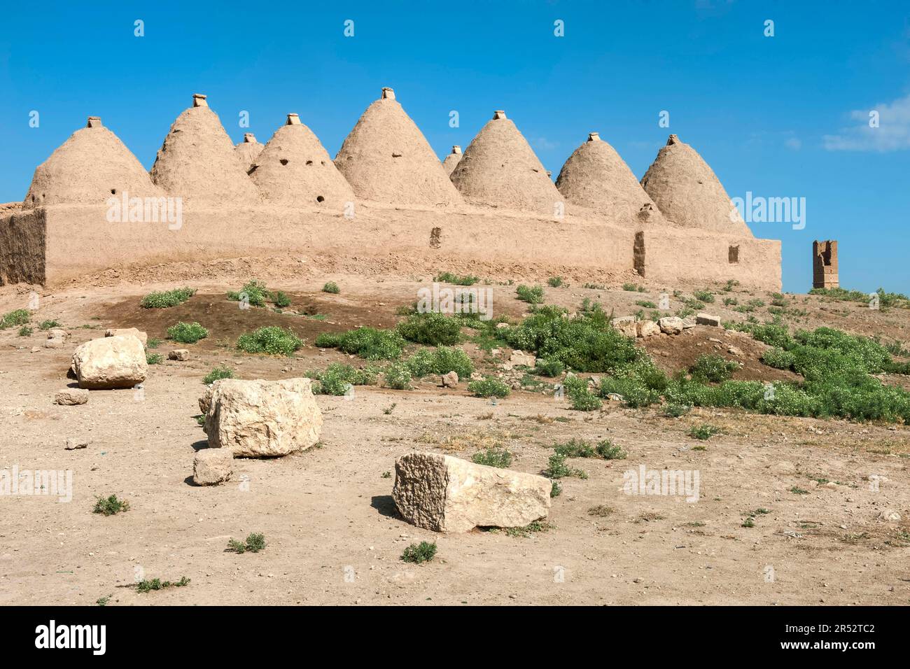 Case tradizionali di fango dell'alveare, case di fango, alveare, casa di fango, capanna di fango, Harran, provincia di Sanliurfa, Turchia Foto Stock