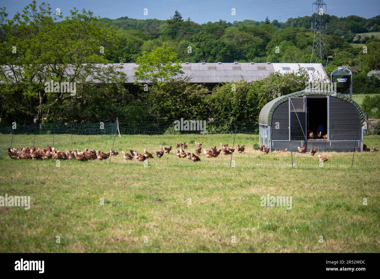 L'anatre Hill Farm è una fattoria di uova a Northwood, vicino a Londra, che vende le uova tramite un distributore automatico. I capannoni mobili sono alimentati a energia solare. Foto Stock