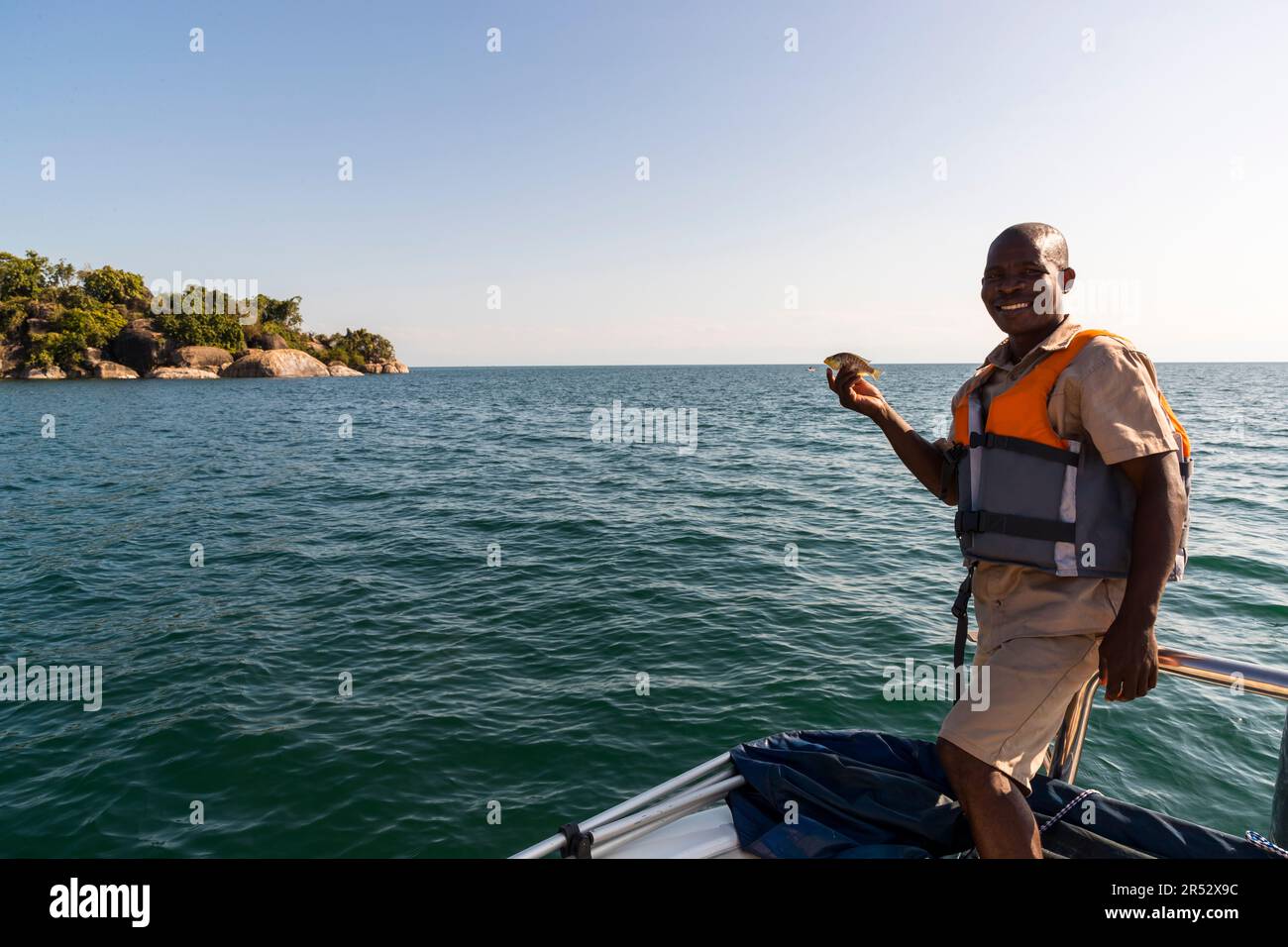 Aquile calve sono attratte da Skipper Black da Pumulani Lodge al Lago Malawi con piccoli cichlidi appena pescato Foto Stock