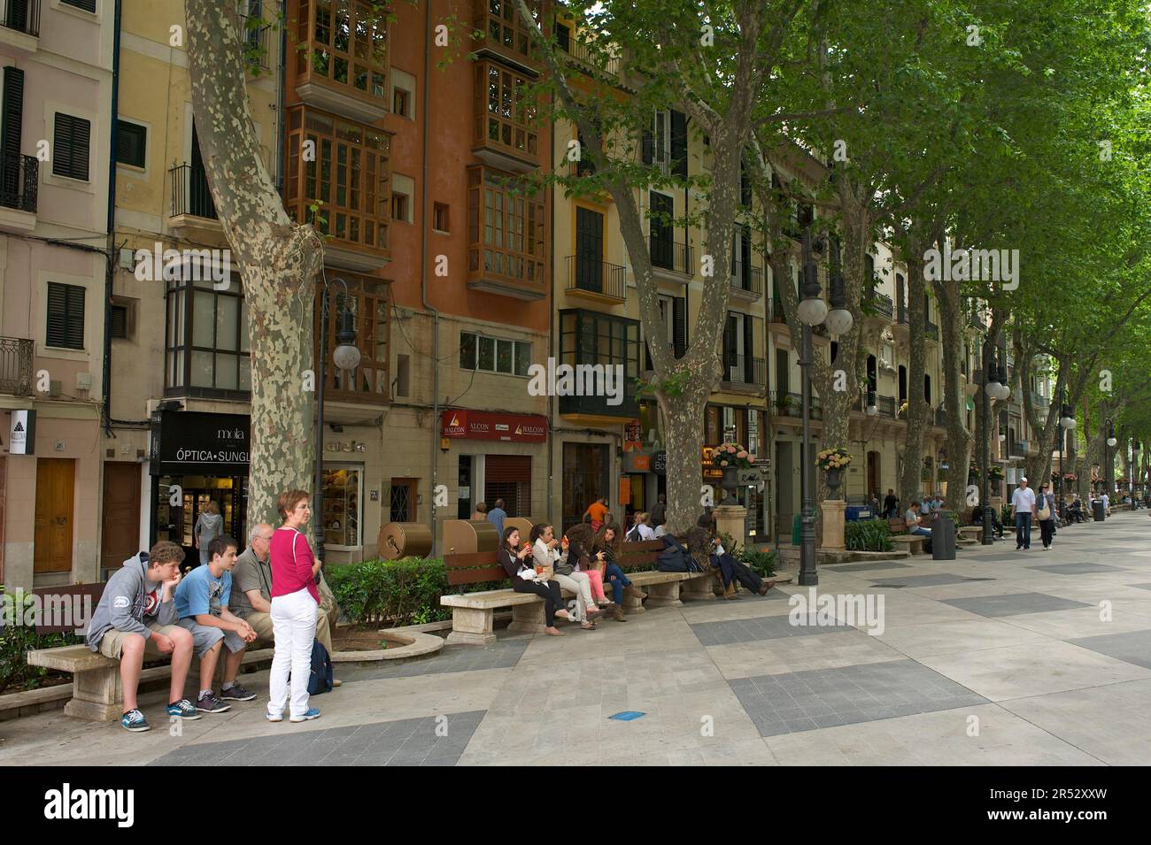 Shopping Street, Passeig des Born, Palma di Maiorca, Isole Baleari, Spagna Foto Stock