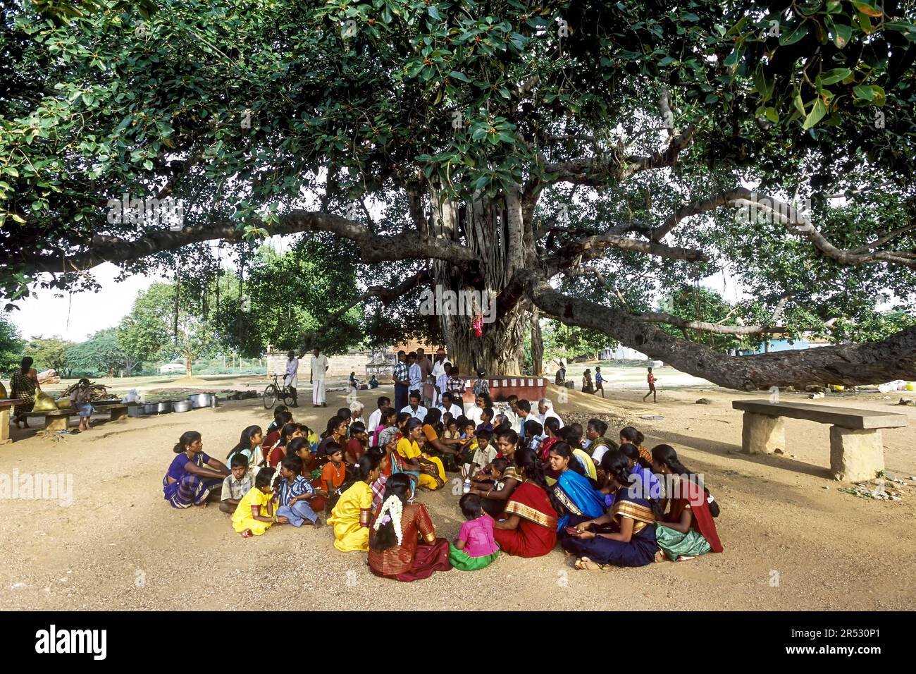 La gente del villaggio si è riunita sotto l'albero baniano per riparare le dispute del villaggio, Tamil Nadu, India del sud, India, Asia Foto Stock