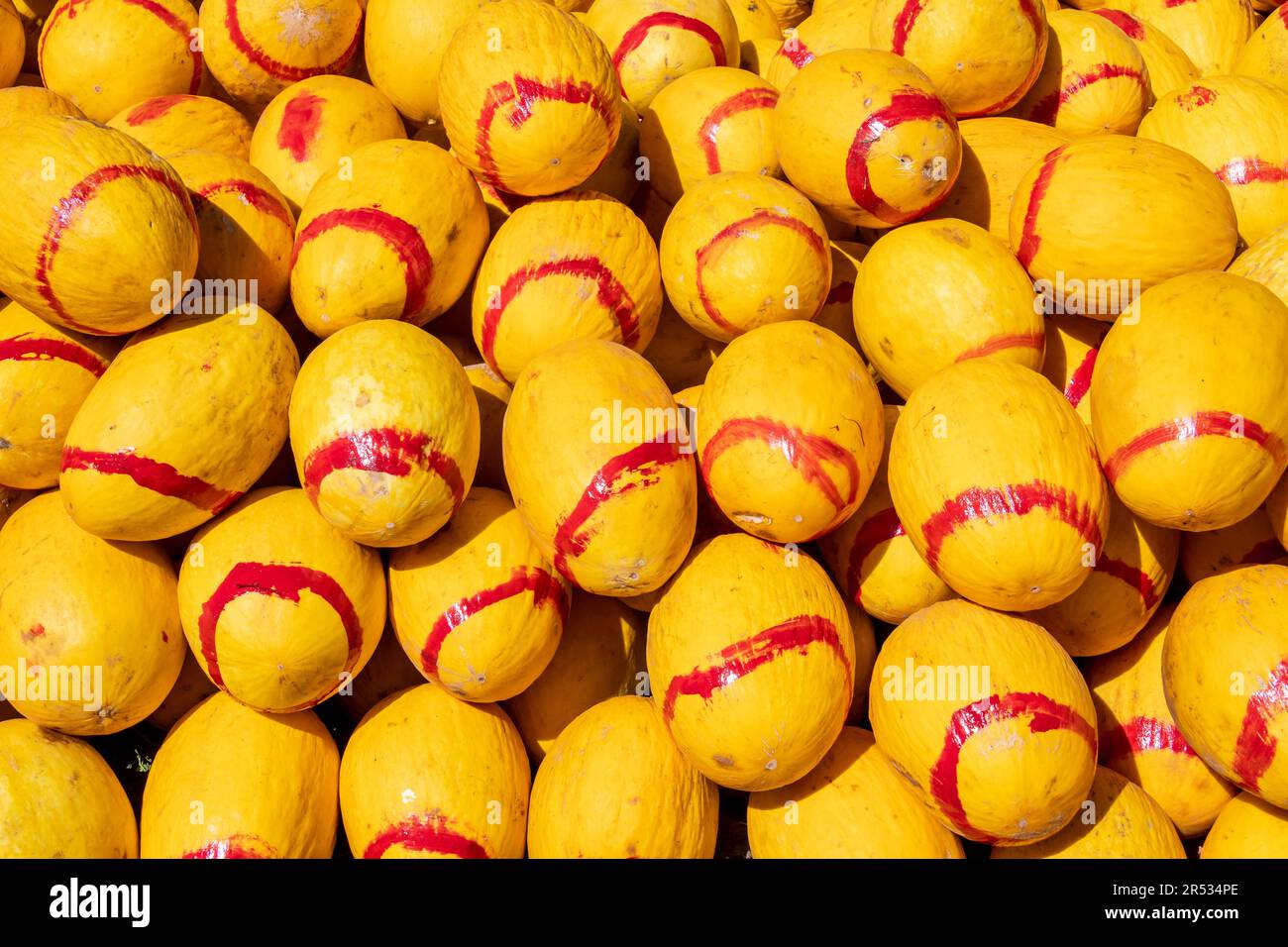Canary Melons in vendita a Marrakech, Marocco Foto Stock