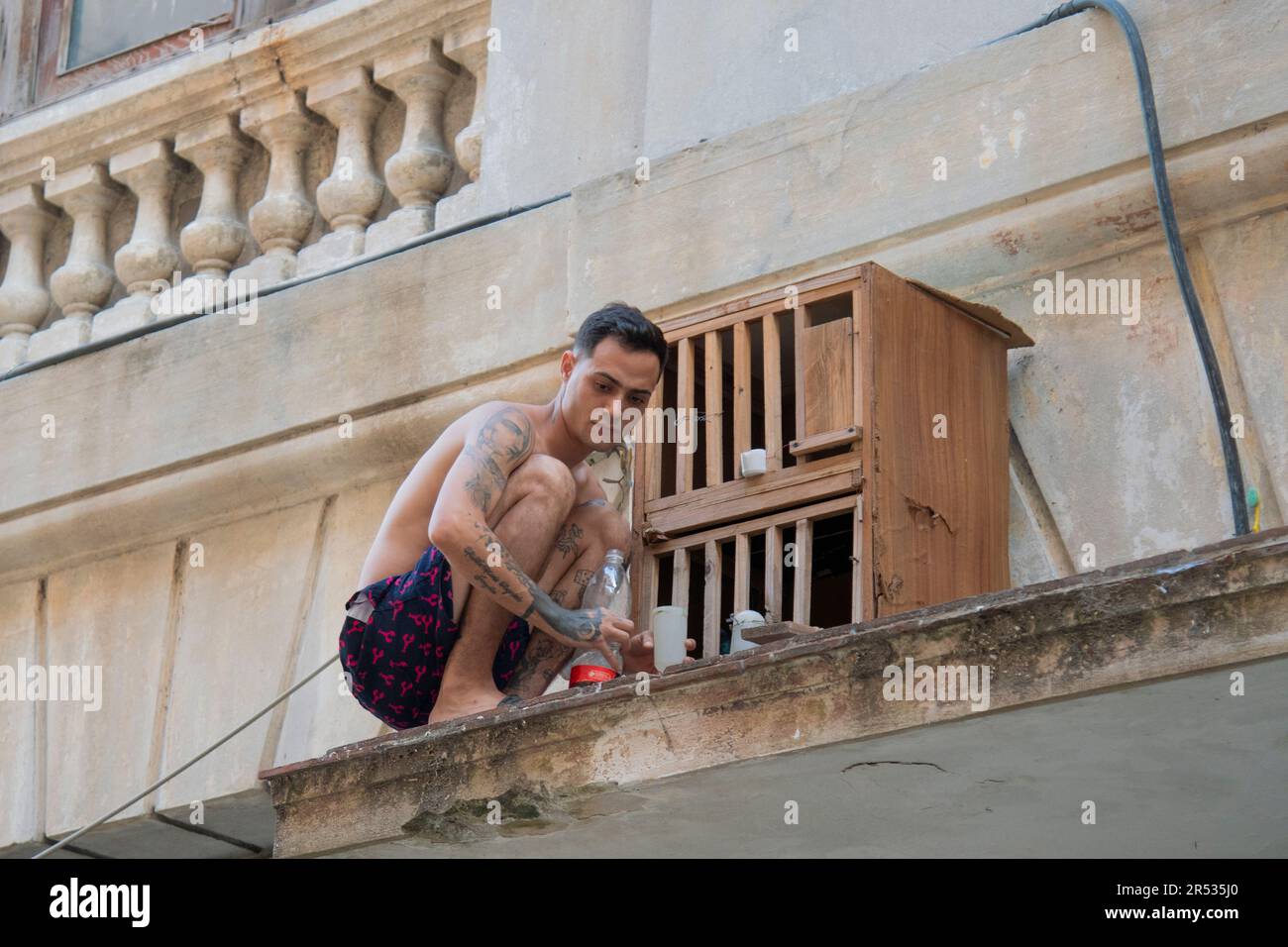 L'uomo cubano nutre i suoi uccelli sul tetto del suo edificio in una gabbia di uccelli a l'Avana, Cuba Foto Stock