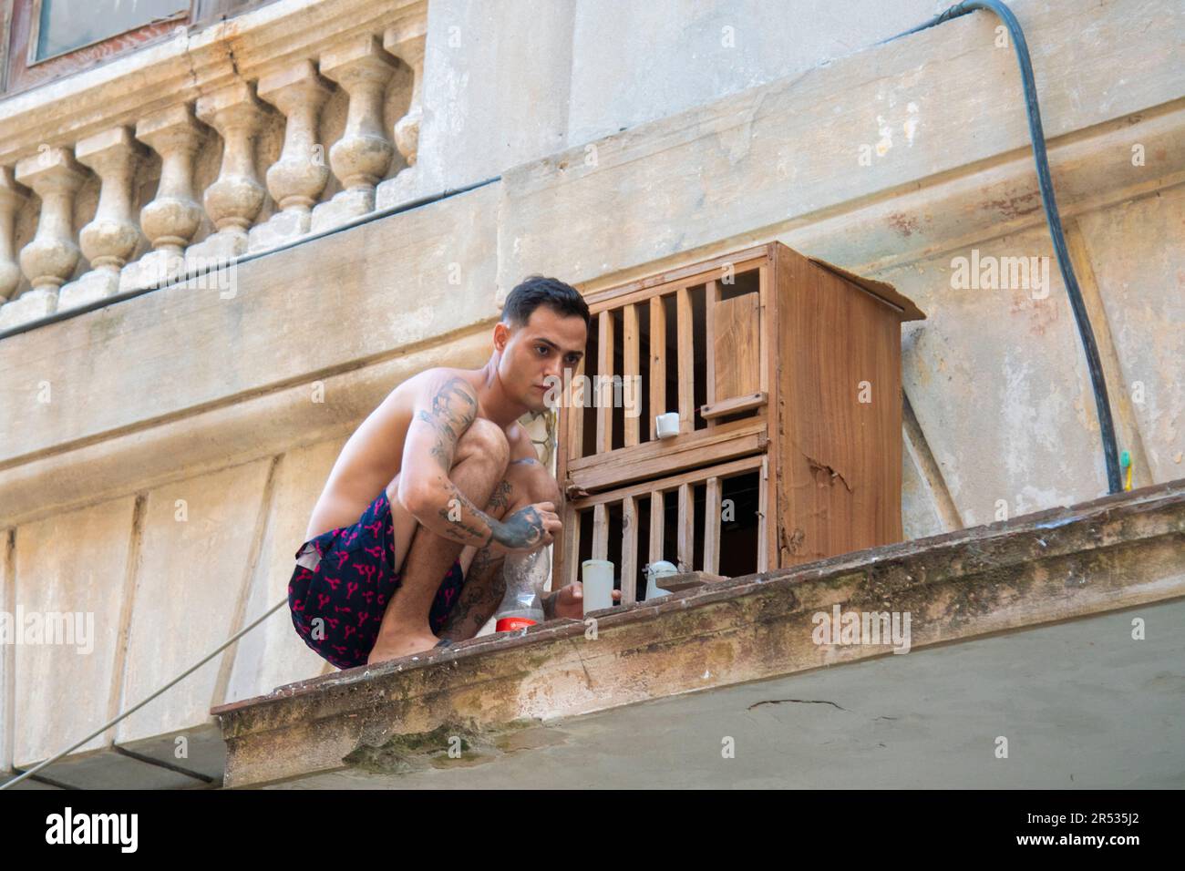 L'uomo cubano nutre i suoi uccelli sul tetto del suo edificio in una gabbia di uccelli a l'Avana, Cuba Foto Stock