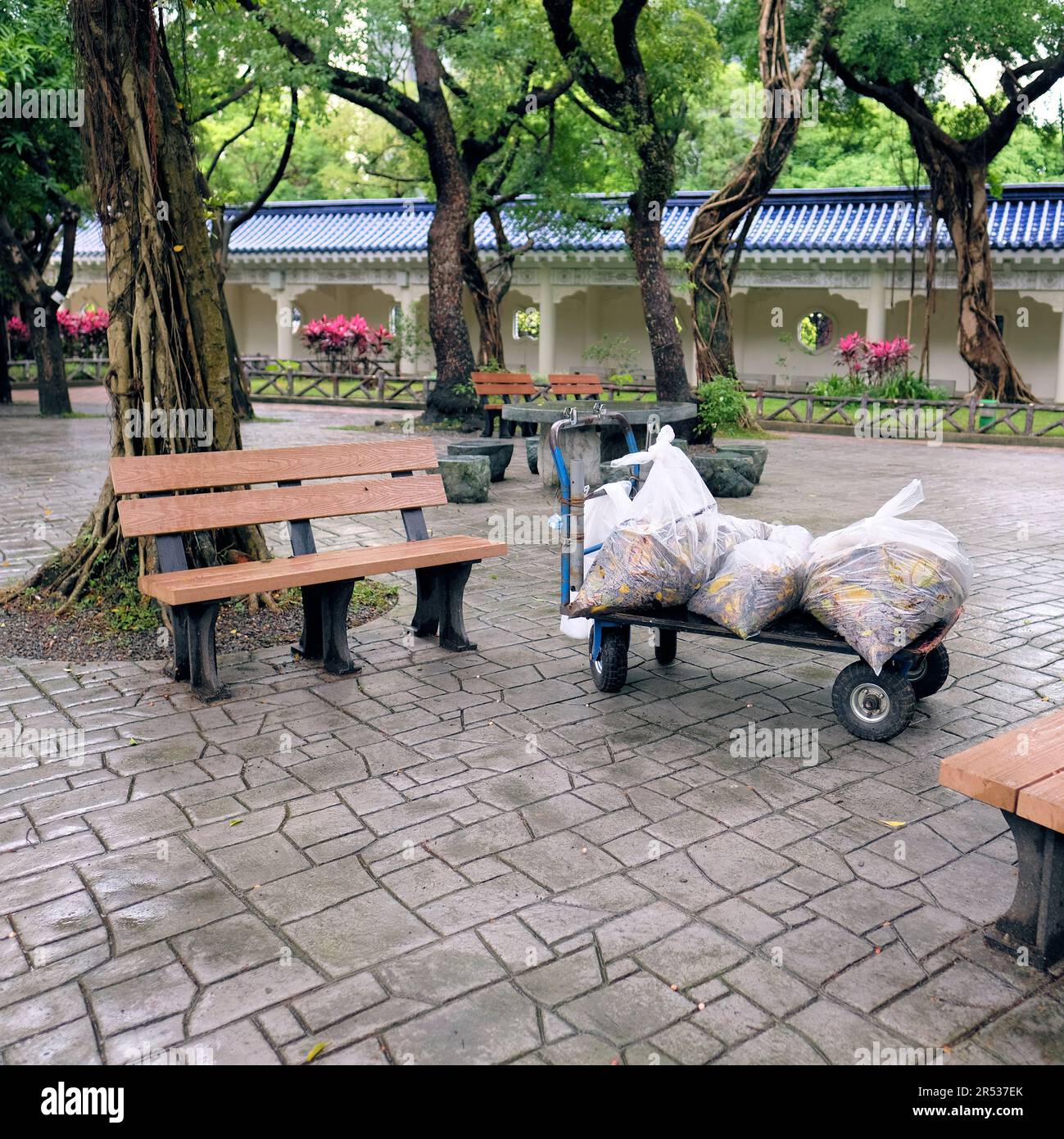 Carrello a letto piatto con tre sacchetti di plastica contenenti foglie rastrellate e altri rifiuti di iarda; Chiang Kai-Shek Memorial Hall, Taipei, Taiwan; manutenzione del parco. Foto Stock