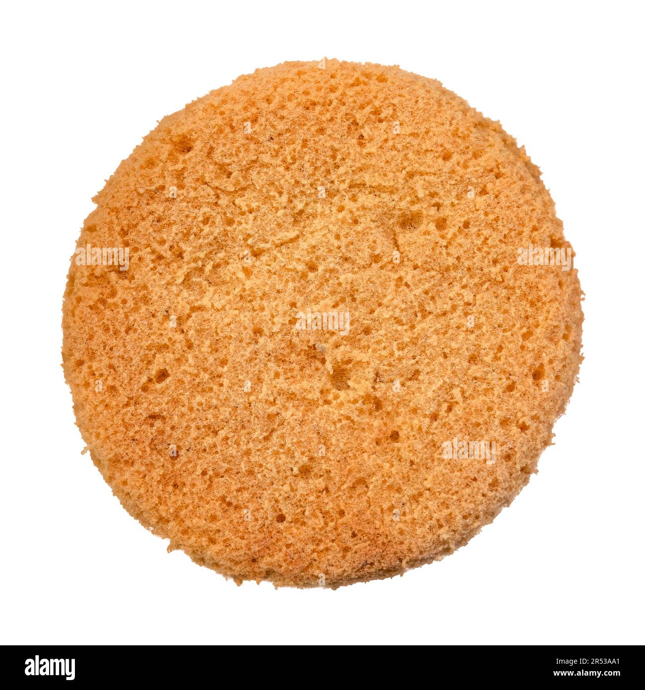 Una spugna di ceramica isolata su sfondo bianco Foto Stock