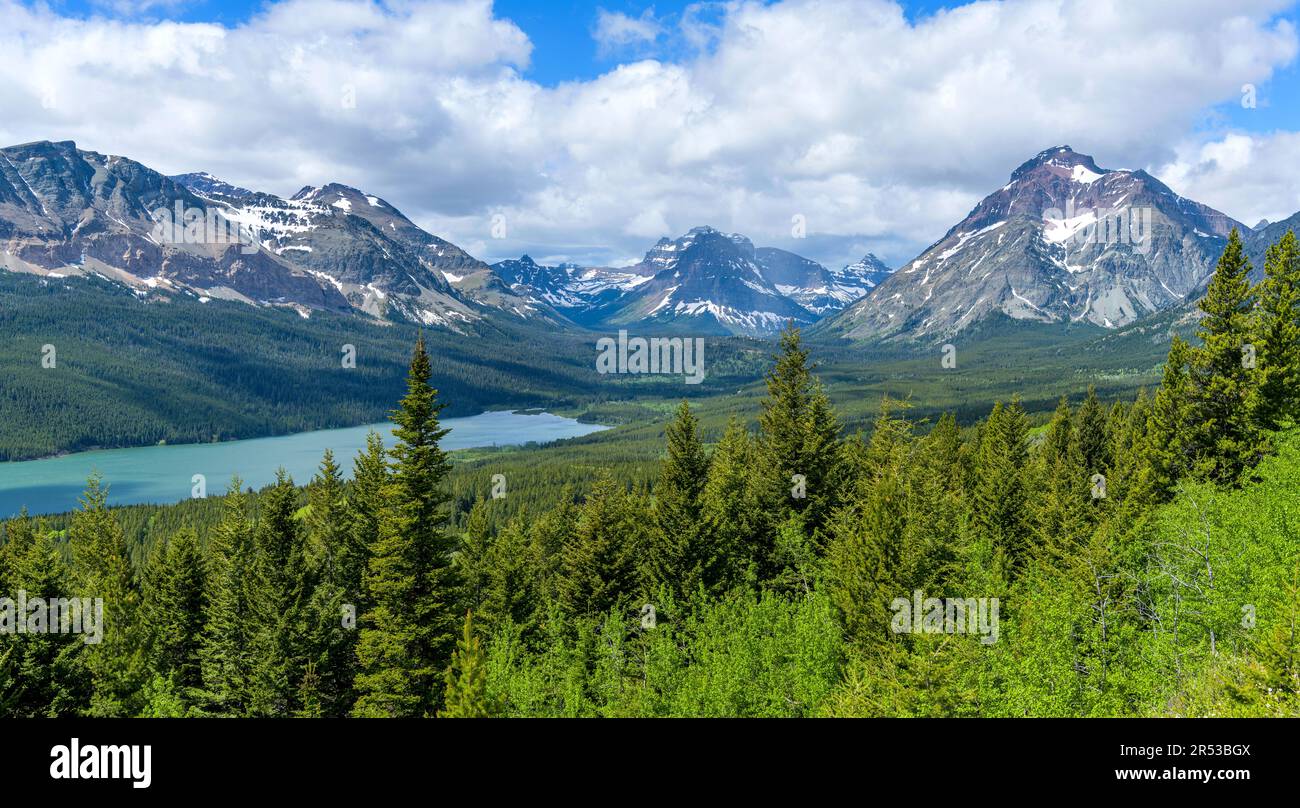 Primavera a Two Medicine Valley - Una panoramica del Lower Two Medicine Lake circondato da aspre vette alte, Glacier National Park, MT. Foto Stock