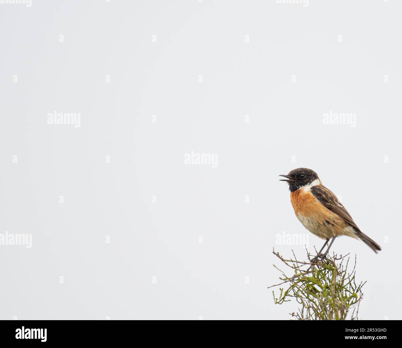 Chiacchierata maschile sul North York Moors National Park Foto Stock