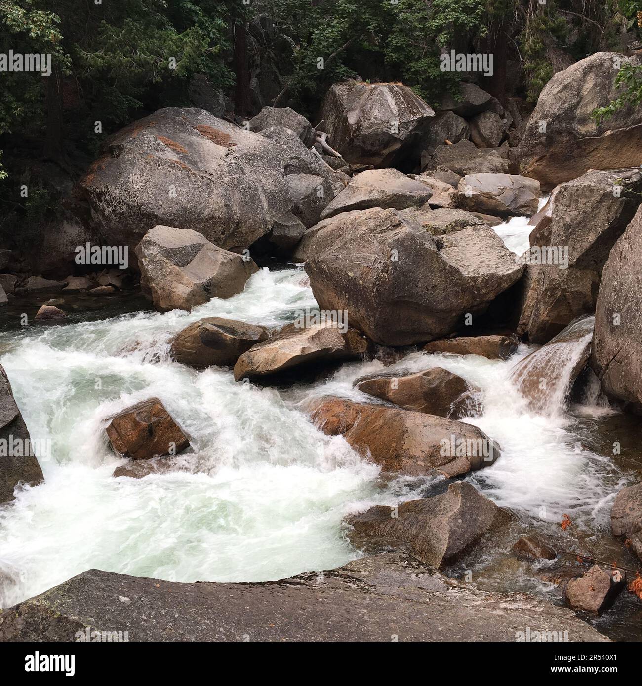 Un fiume ruggente con rapide scorre intorno a rocce, pietre e massi nel Parco Nazionale di Yosemite Foto Stock