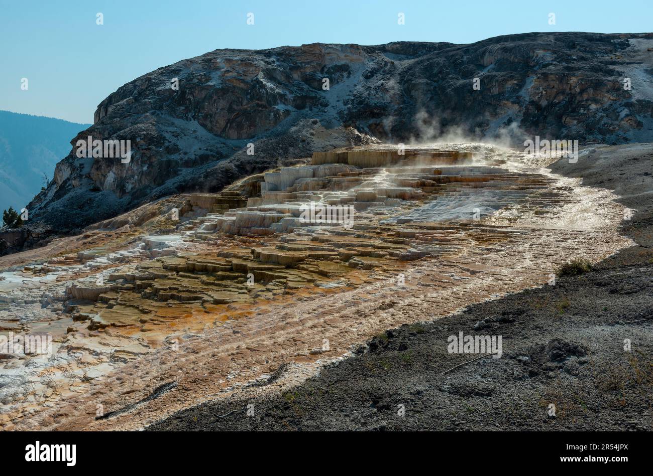 Mammoth Hot Springs, parco nazionale di Yellowstone, Wyoming, USA. Foto Stock