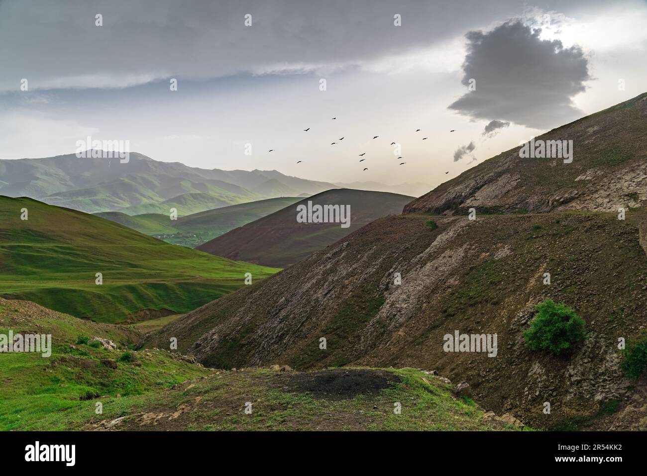 Paesaggio montano coperto di erba verde con tempo nuvoloso Foto Stock